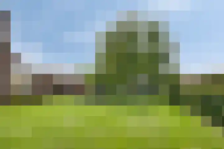 Beukenlaan 8 Heijen thumbnail 41