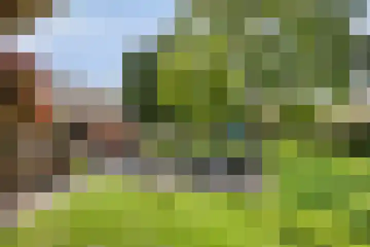 Beukenlaan 8 Heijen thumbnail 42