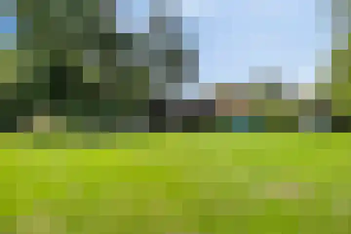 Beukenlaan 8 Heijen thumbnail 44