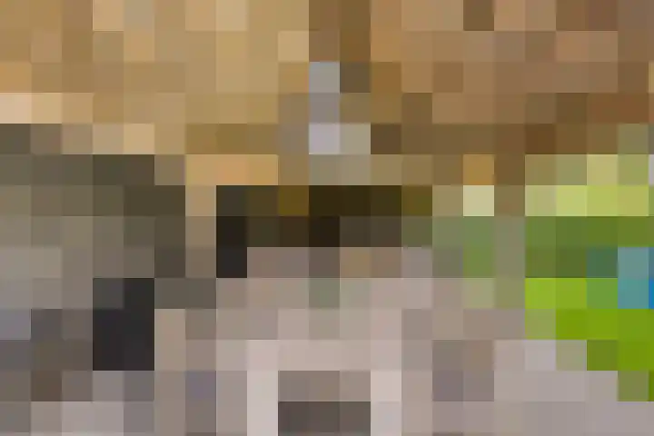 Beukenlaan 8 Heijen thumbnail 46