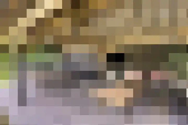 Beukenlaan 8 Heijen thumbnail 47