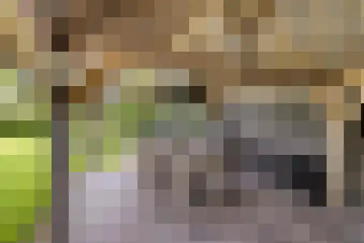 Beukenlaan 8 Heijen thumbnail 48