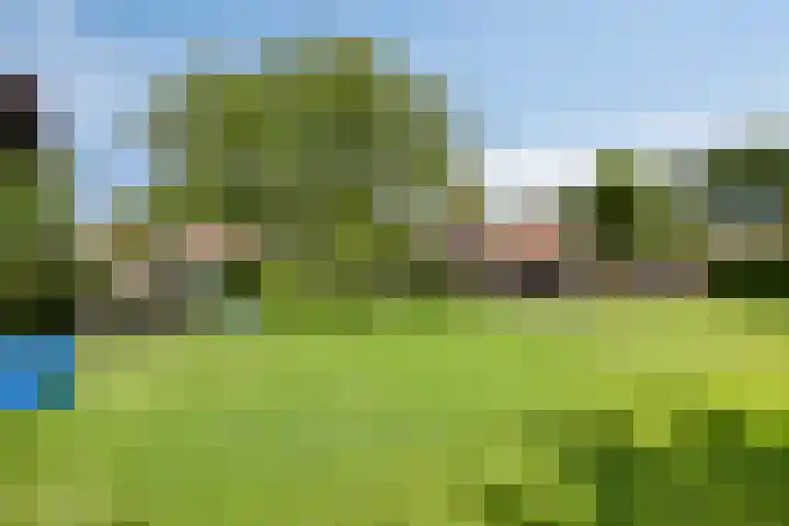Beukenlaan 8 Heijen thumbnail 5