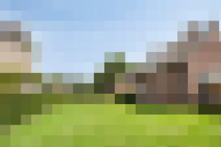 Beukenlaan 8 Heijen thumbnail 50
