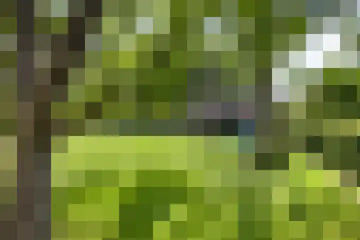 Beukenlaan 8 Heijen thumbnail 6