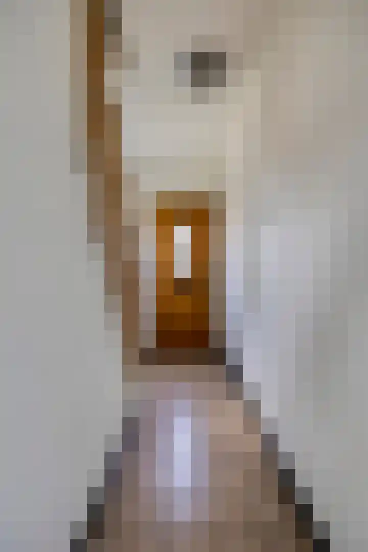 Beukenlaan 8 Heijen thumbnail 7