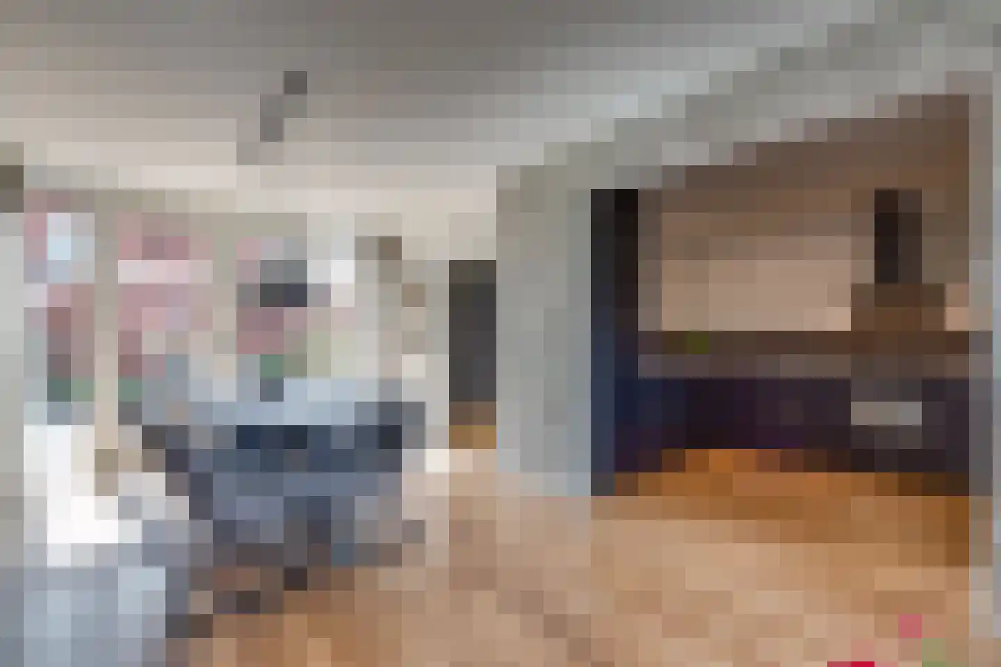 Beukenlaan 8 Nieuw-Buinen thumbnail 10