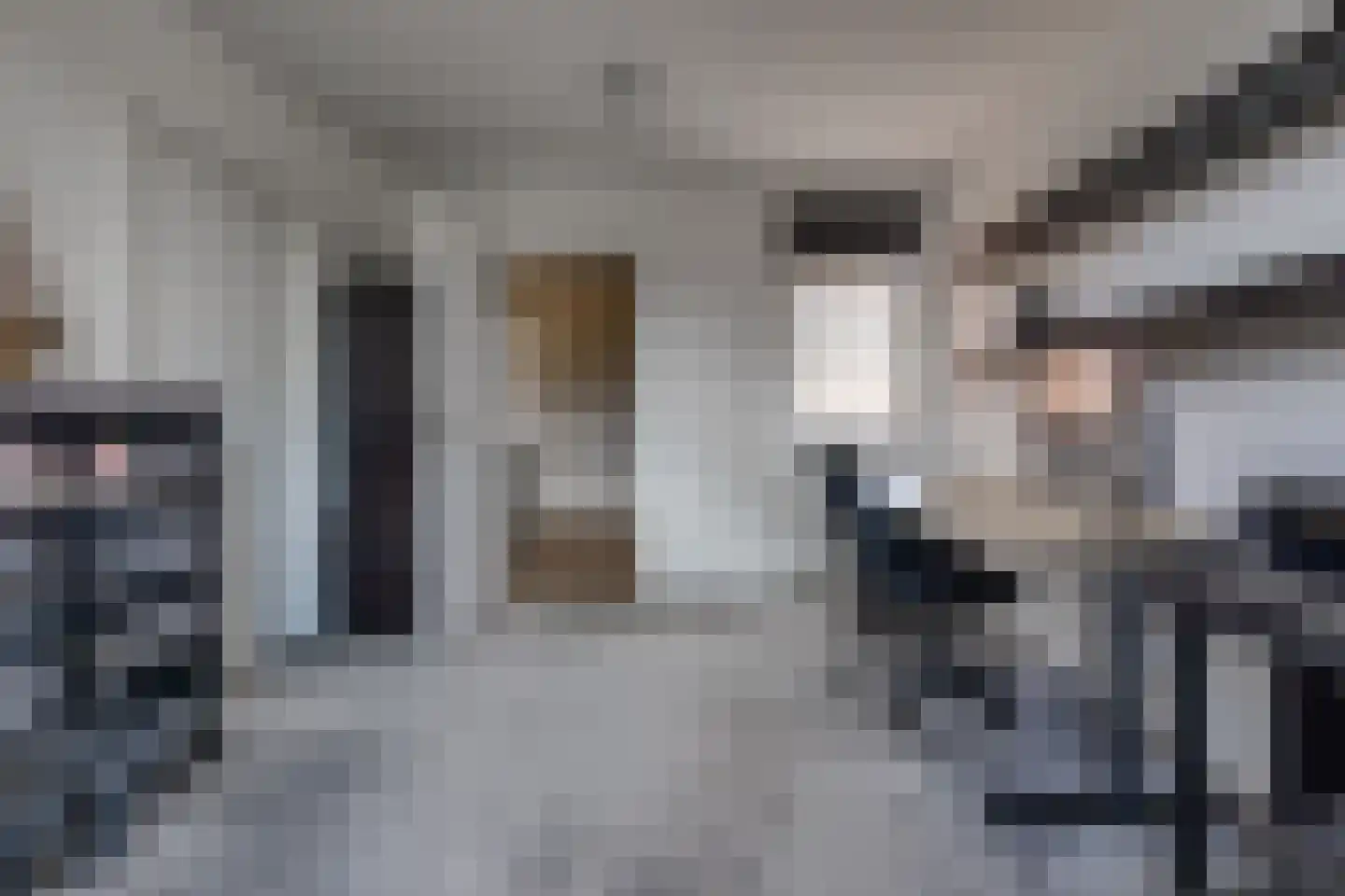 Beukenlaan 8 Nieuw-Buinen thumbnail 14