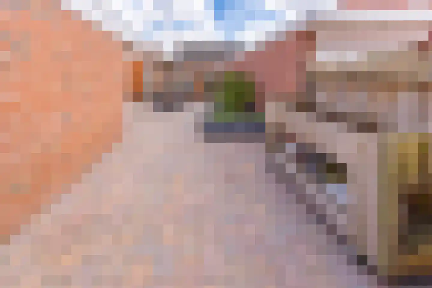 Beukenlaan 8 Nieuw-Buinen thumbnail 28