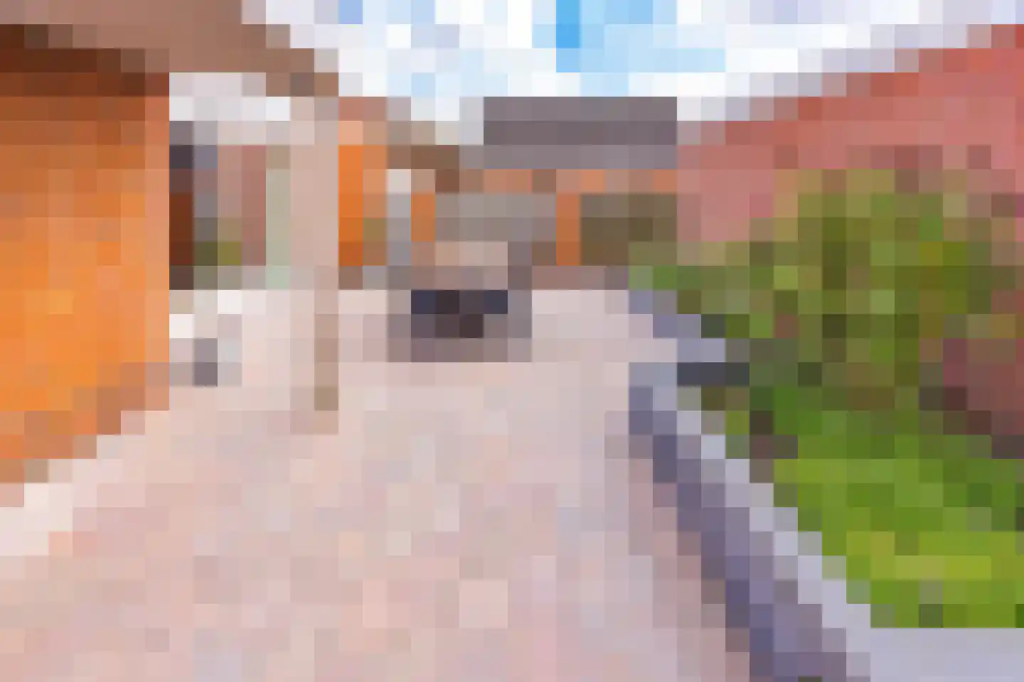 Beukenlaan 8 Nieuw-Buinen thumbnail 29