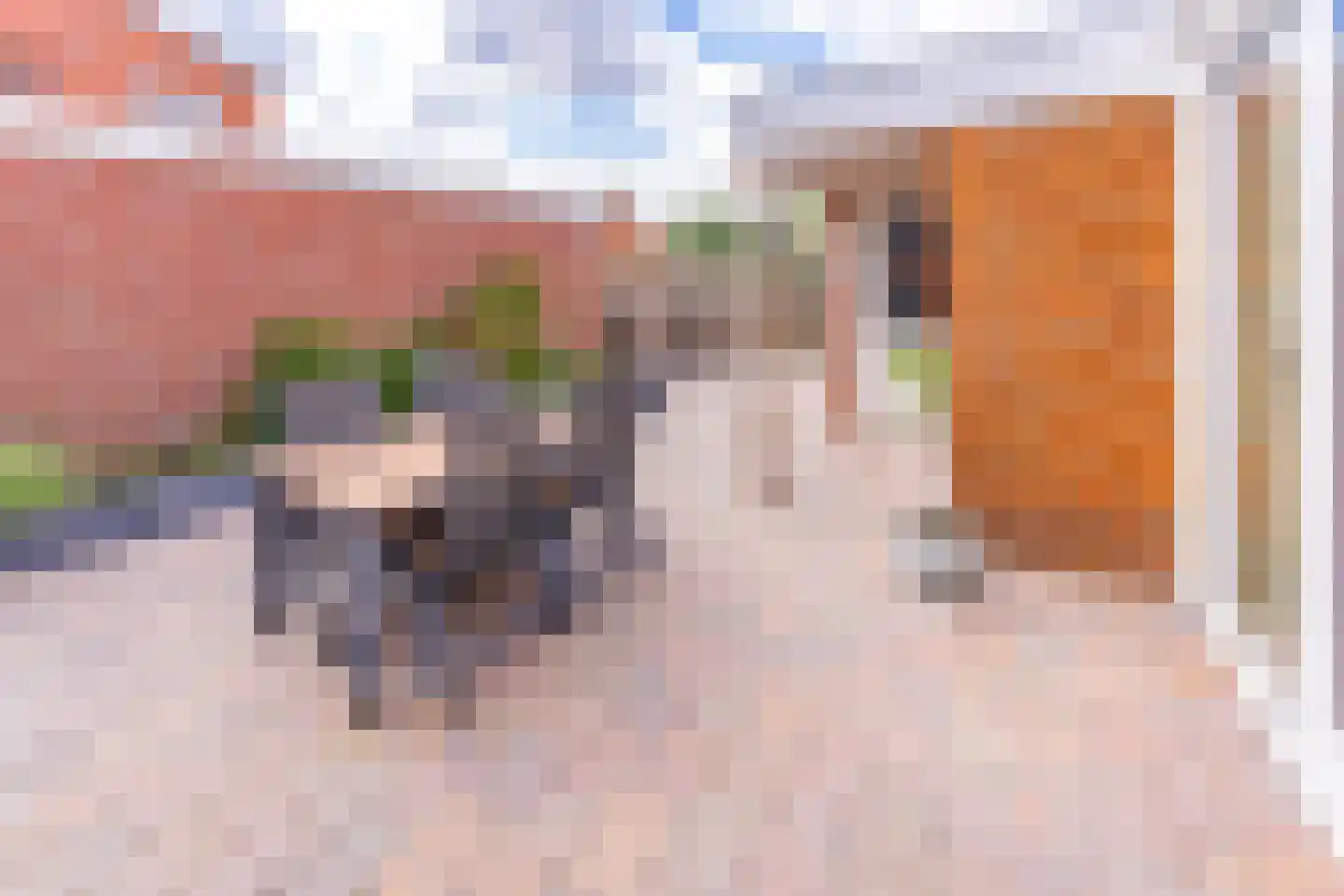 Beukenlaan 8 Nieuw-Buinen thumbnail 30