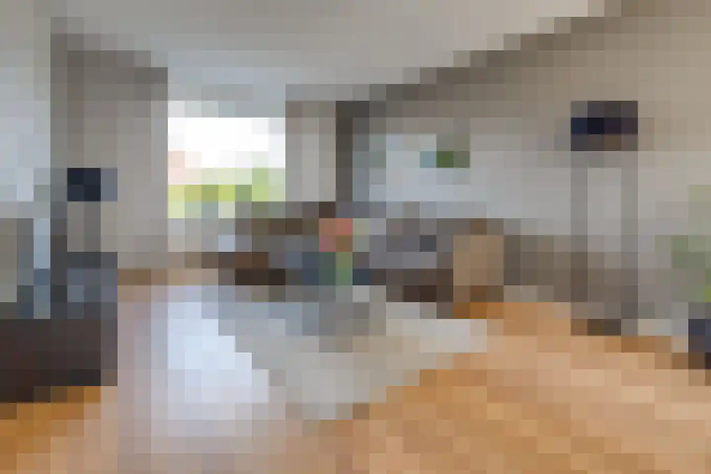 Beukenlaan 8 Nieuw-Buinen thumbnail 5