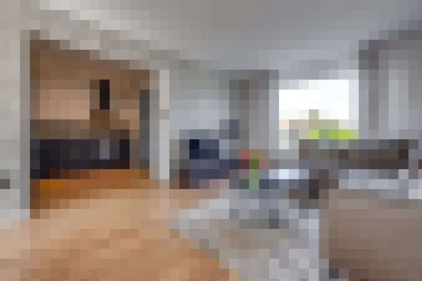Beukenlaan 8 Nieuw-Buinen thumbnail 7