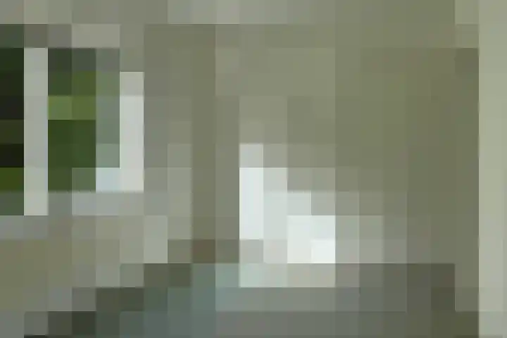 Beukenlaan 8 Nieuw-Roden thumbnail 10