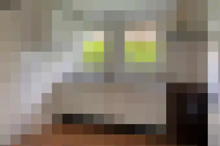 Beukenlaan 8 Nieuw-Roden thumbnail 12