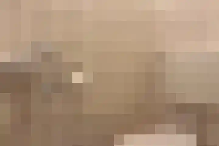 Beukenlaan 8 Nieuw-Roden thumbnail 17