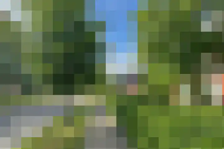 Beukenlaan 8 Nieuw-Roden foto 2