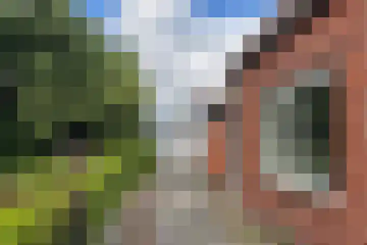 Beukenlaan 8 Nieuw-Roden thumbnail 24