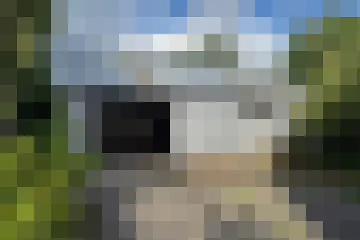 Beukenlaan 8 Nieuw-Roden thumbnail 25