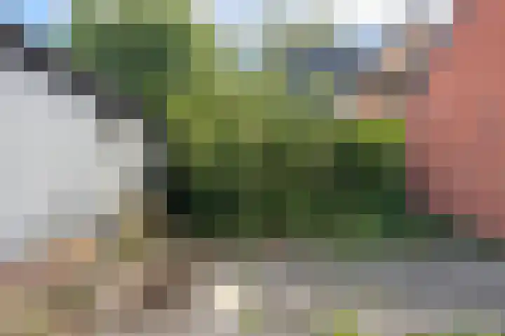 Beukenlaan 8 Nieuw-Roden thumbnail 26