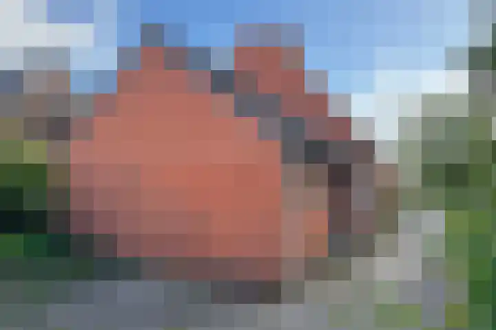 Beukenlaan 8 Nieuw-Roden thumbnail 27