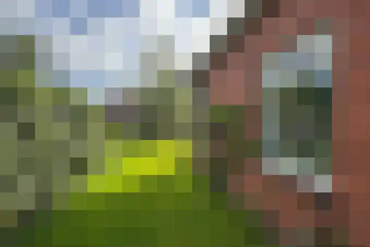 Beukenlaan 8 Nieuw-Roden thumbnail 28