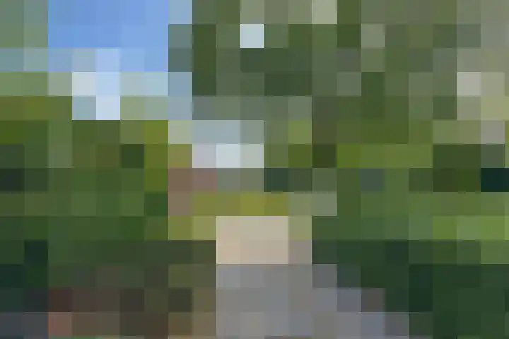 Beukenlaan 8 Nieuw-Roden thumbnail 29