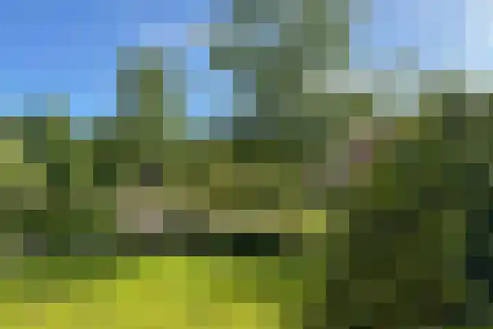 Beukenlaan 8 Nieuw-Roden thumbnail 31