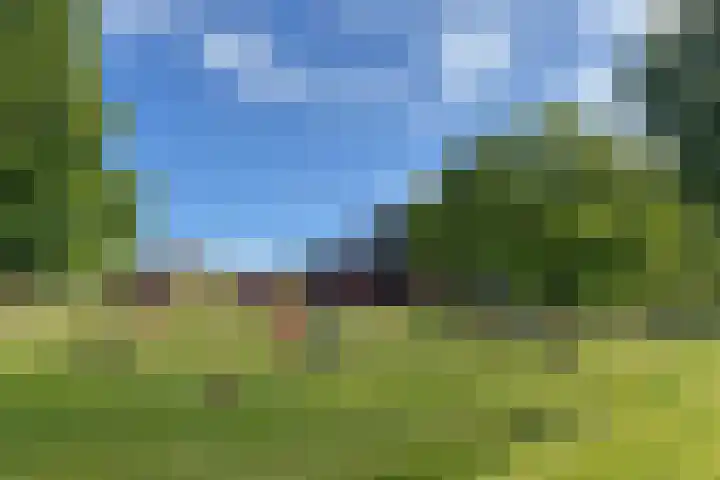 Beukenlaan 8 Nieuw-Roden thumbnail 32