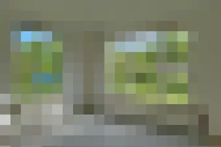 Beukenlaan 8 Nieuw-Roden thumbnail 6