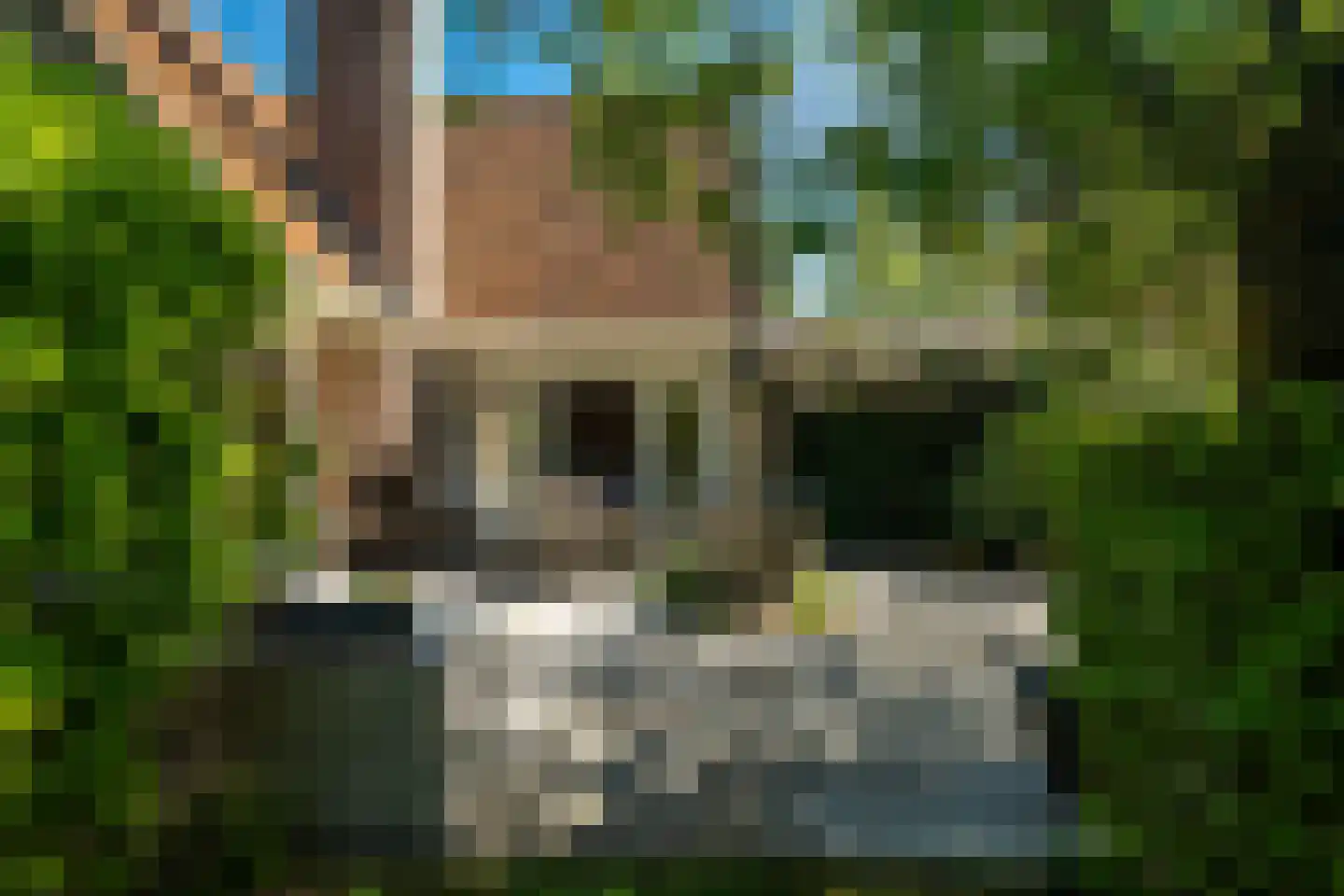 Beukenlaan 8 Oudemirdum thumbnail 15