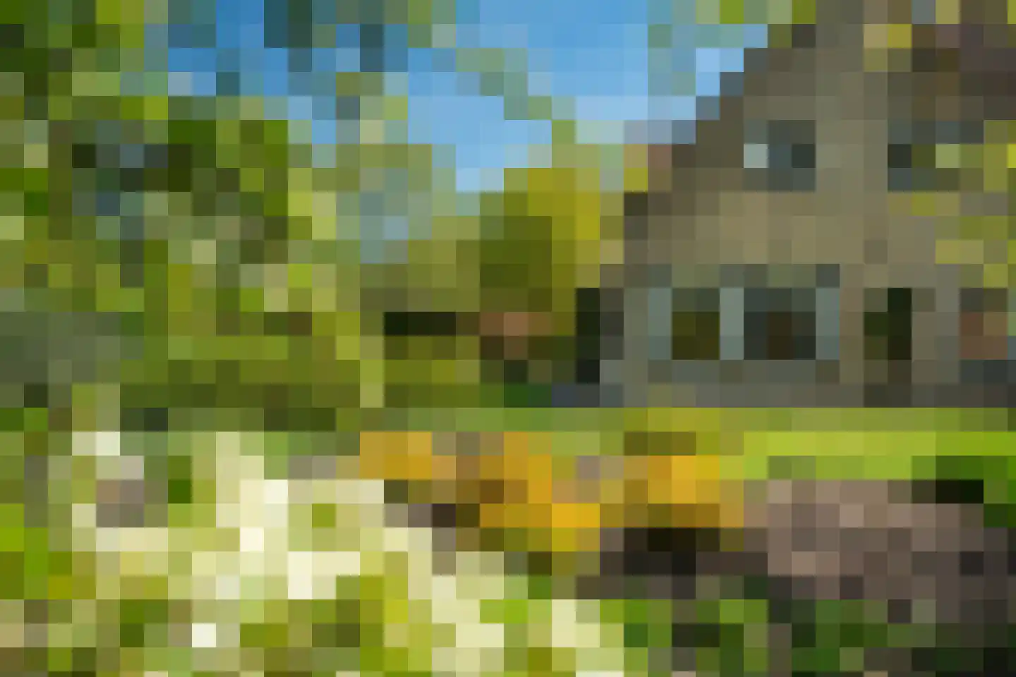 Beukenlaan 8 Oudemirdum thumbnail 19