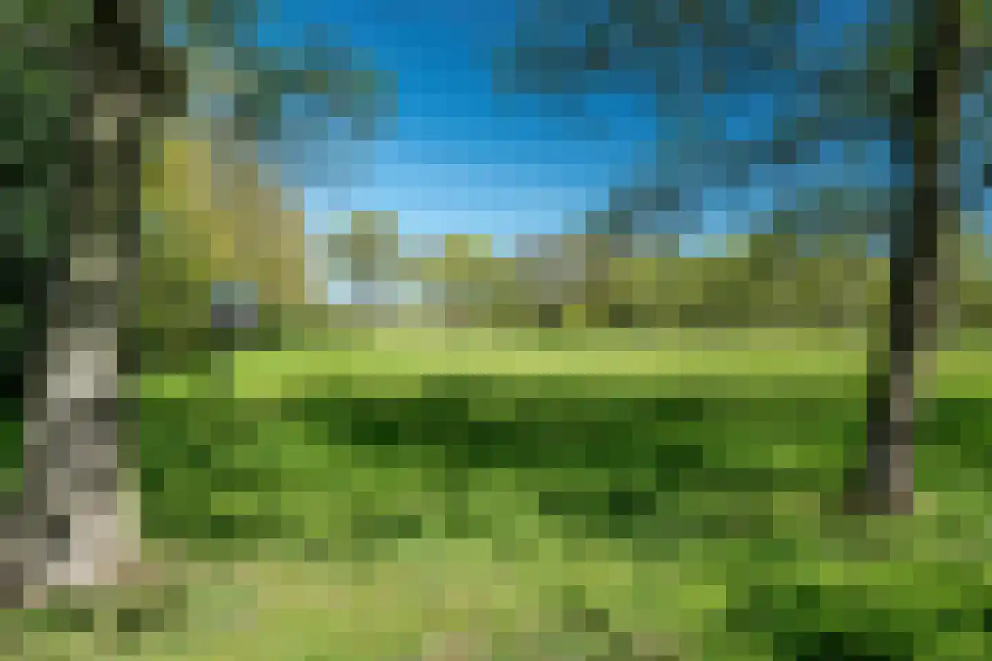 Beukenlaan 8 Oudemirdum thumbnail 20