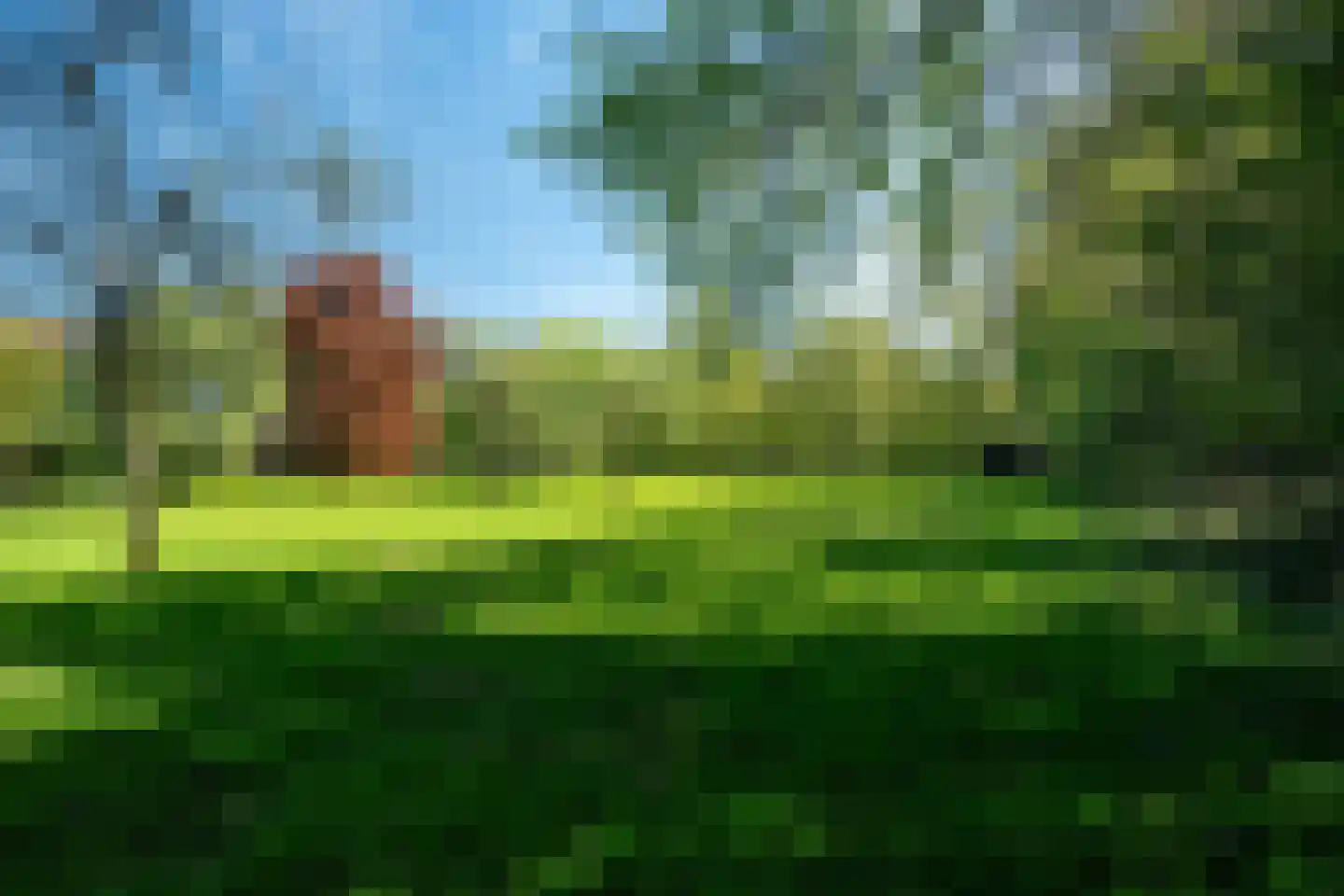 Beukenlaan 8 Oudemirdum thumbnail 21