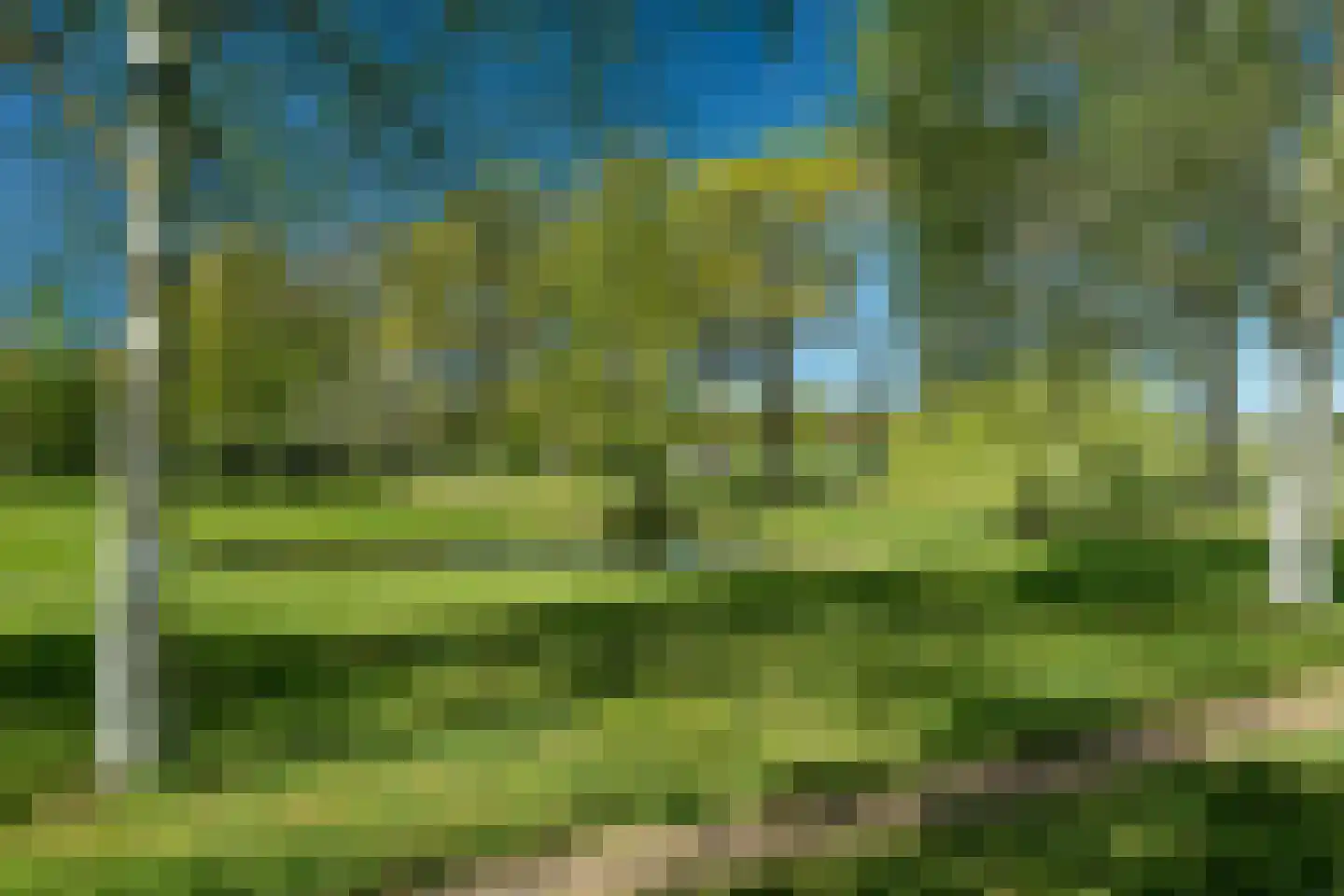 Beukenlaan 8 Oudemirdum thumbnail 23