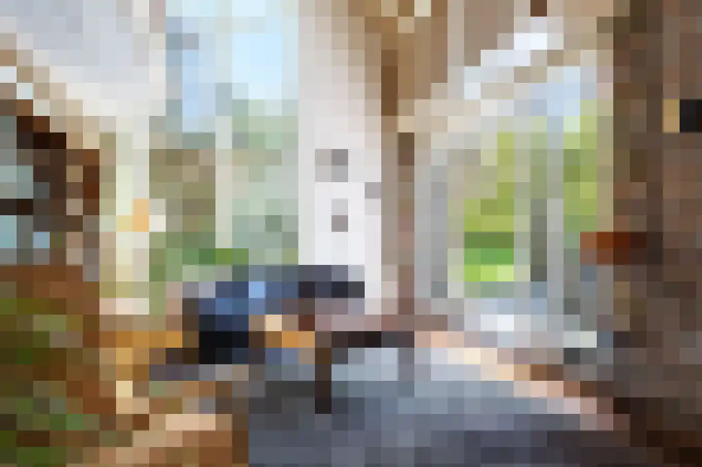 Beukenlaan 8 Oudemirdum thumbnail 28