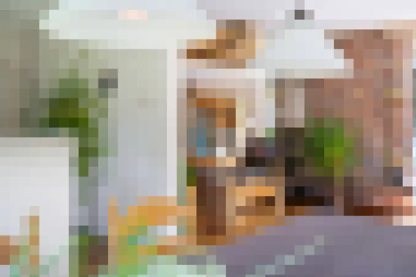 Beukenlaan 8 Oudemirdum thumbnail 31