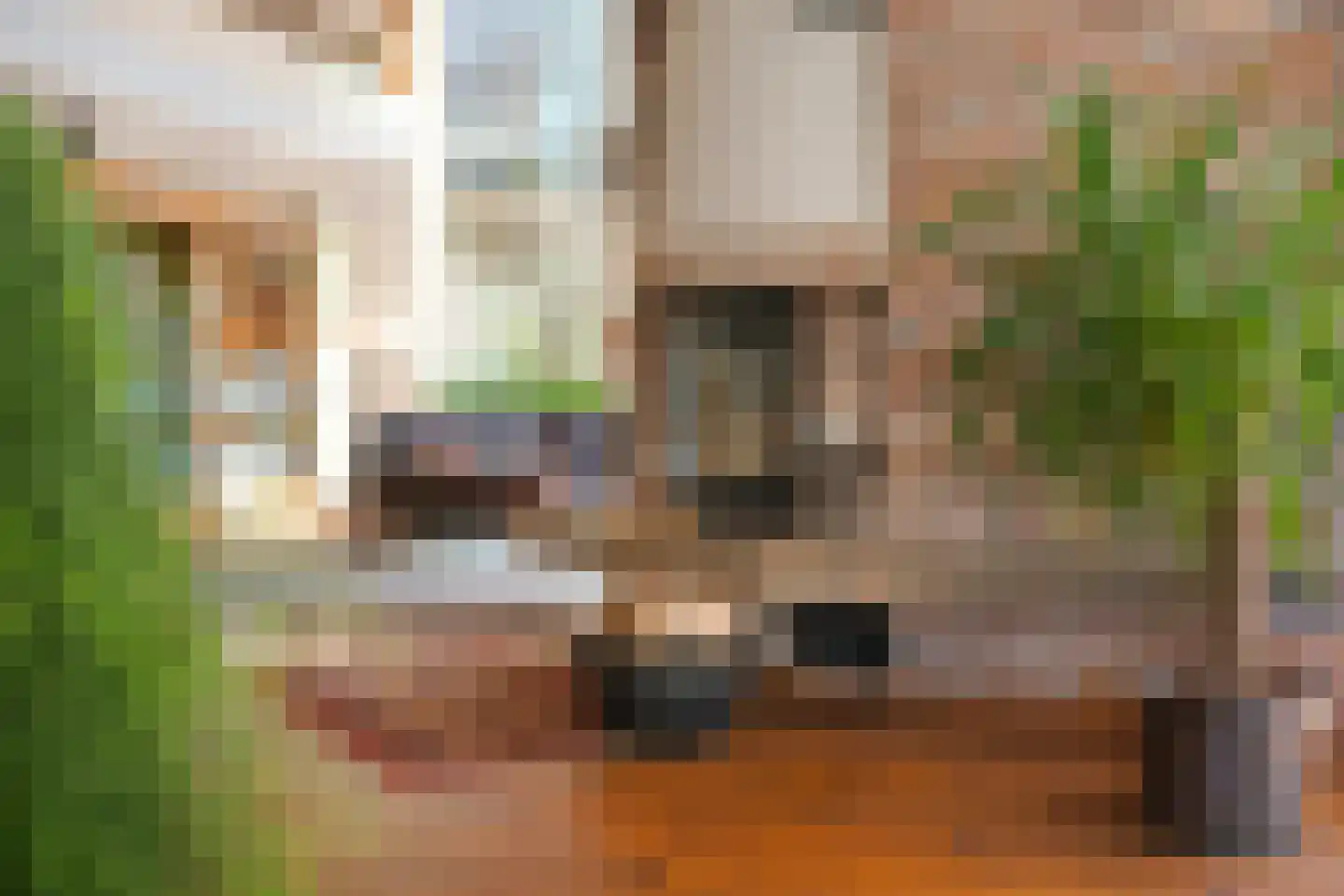 Beukenlaan 8 Oudemirdum thumbnail 32