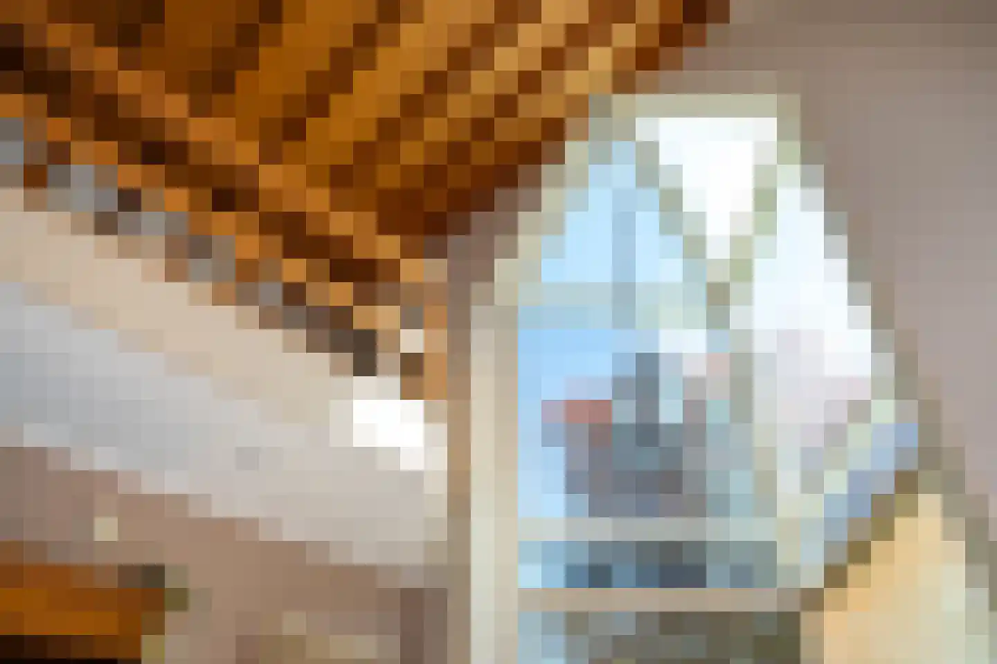 Beukenlaan 8 Oudemirdum thumbnail 33