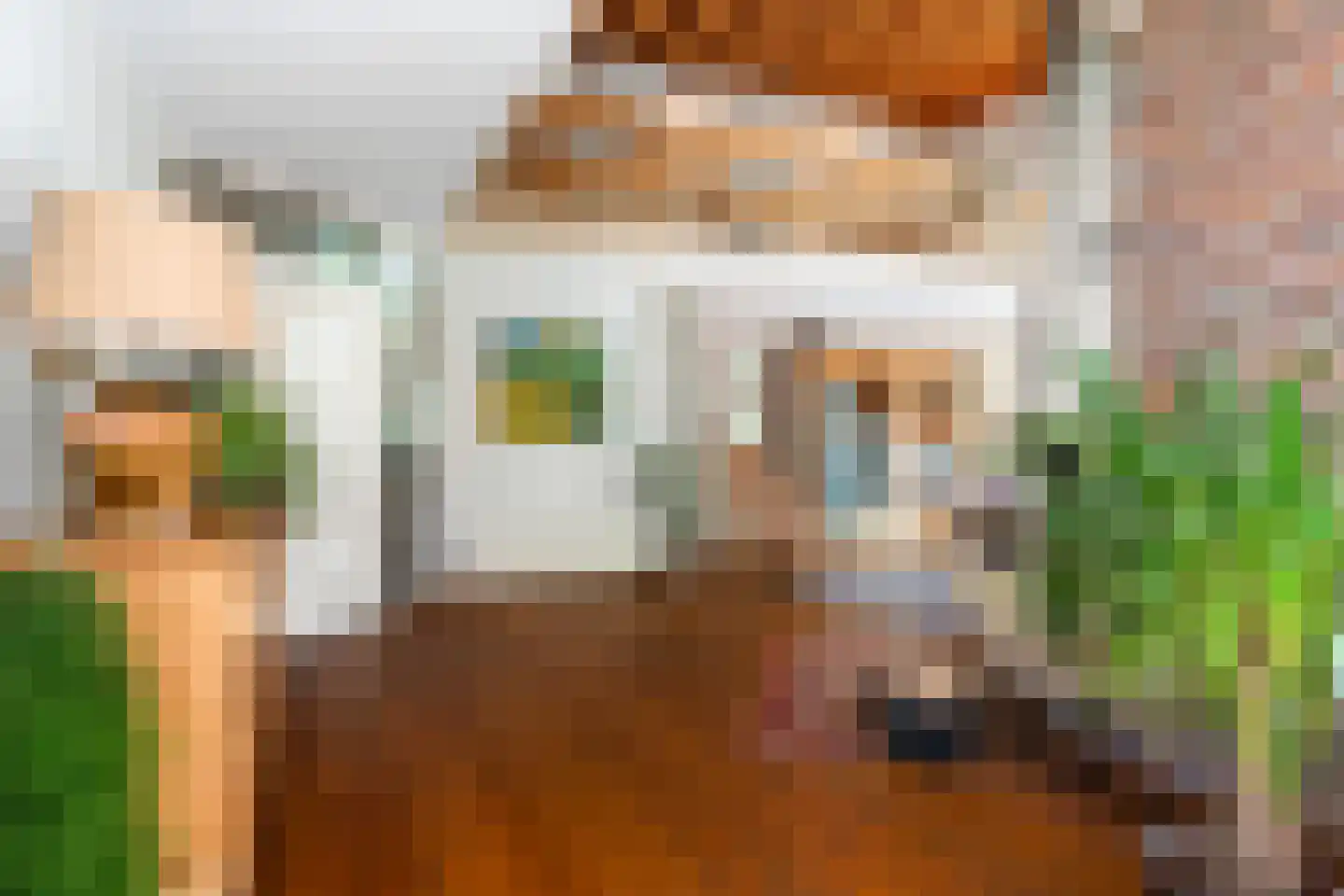 Beukenlaan 8 Oudemirdum thumbnail 34