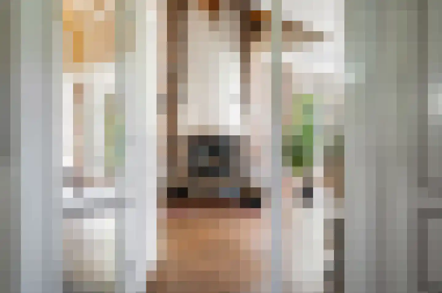 Beukenlaan 8 Oudemirdum thumbnail 36