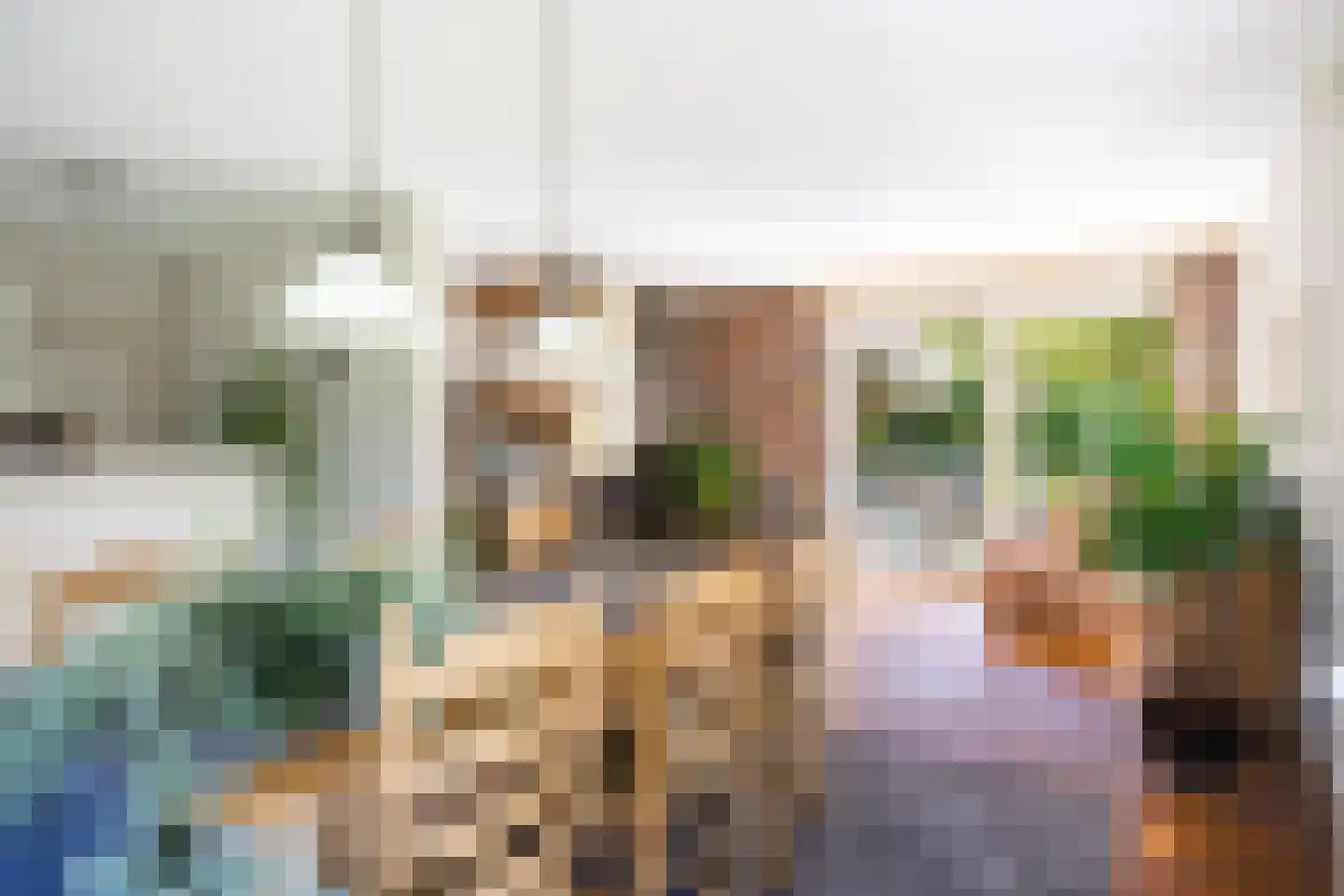 Beukenlaan 8 Oudemirdum thumbnail 39