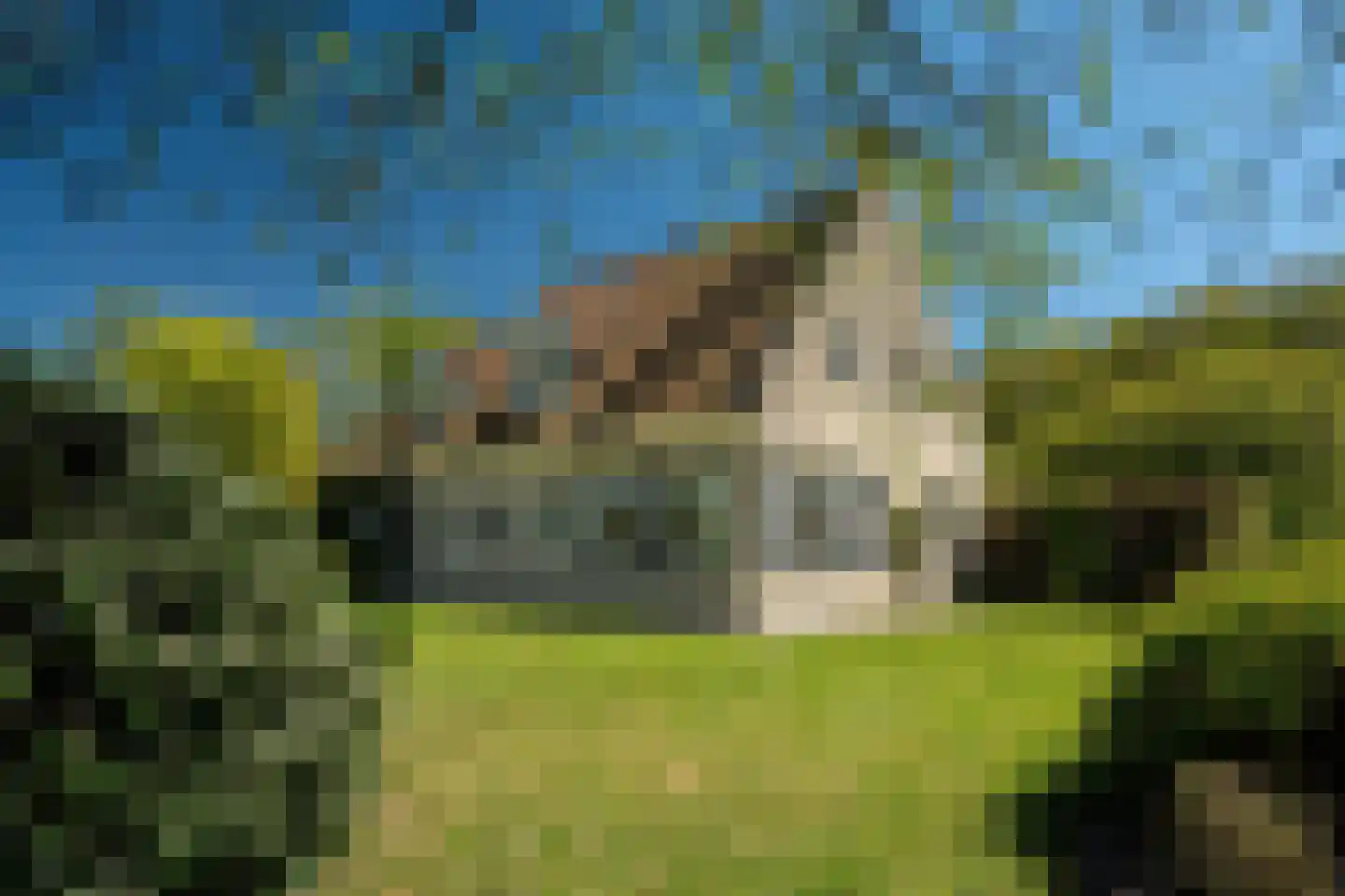 Beukenlaan 8 Oudemirdum thumbnail 4