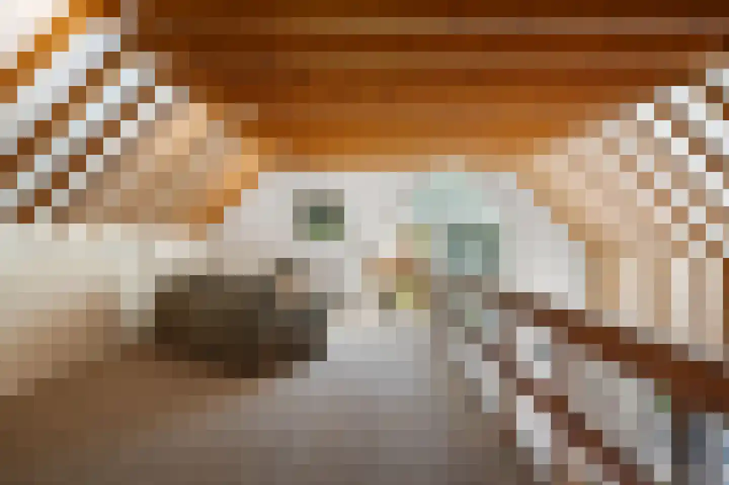 Beukenlaan 8 Oudemirdum thumbnail 49