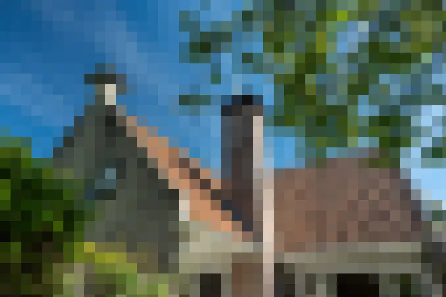 Beukenlaan 8 Oudemirdum thumbnail 5
