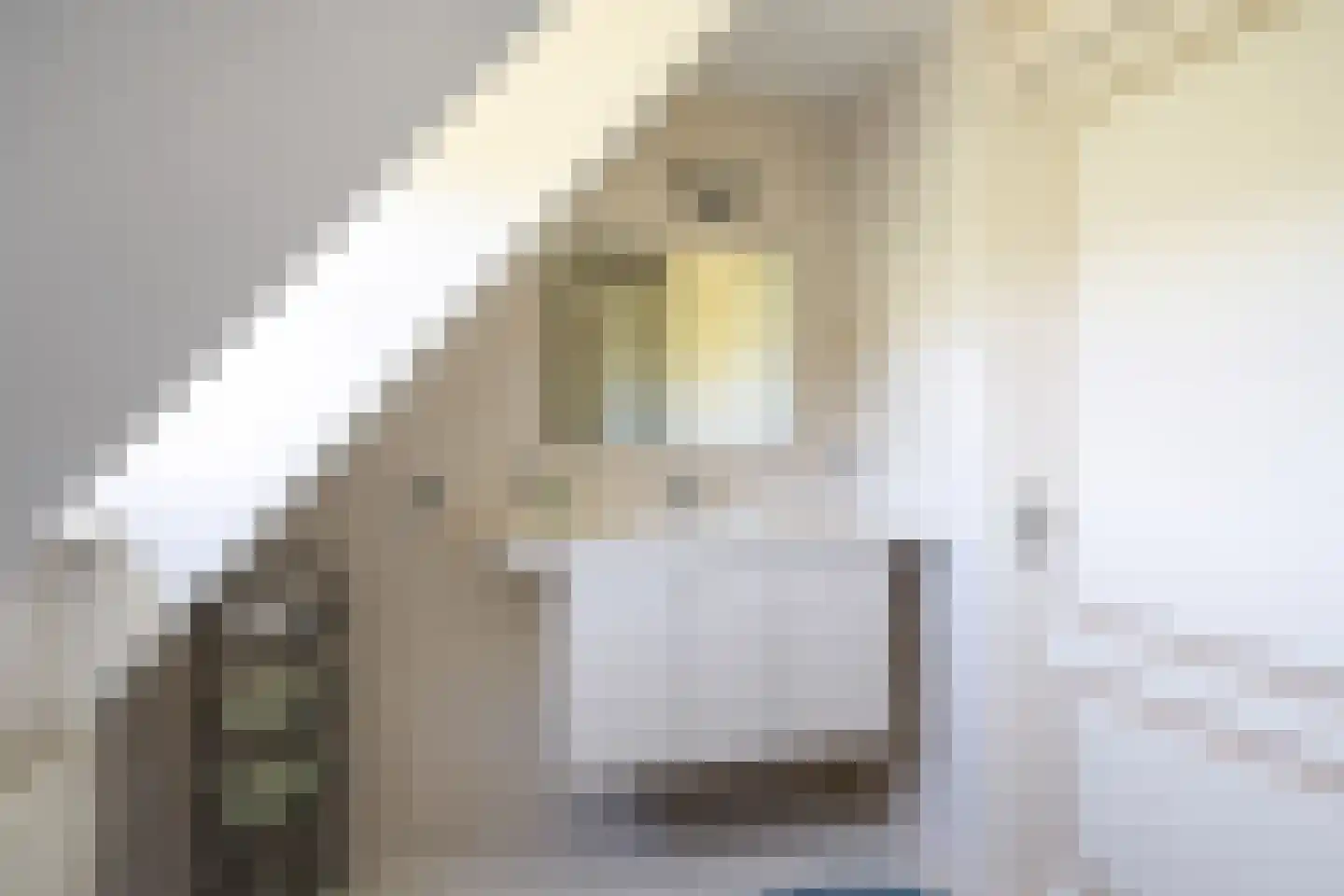Beukenlaan 8 Oudemirdum thumbnail 57