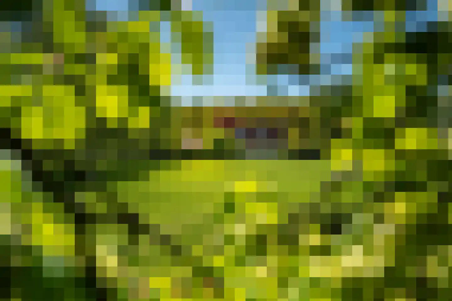 Beukenlaan 8 Oudemirdum thumbnail 6