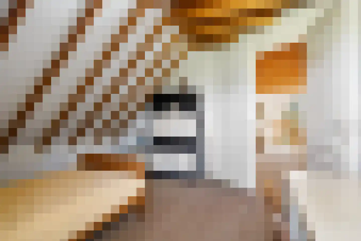 Beukenlaan 8 Oudemirdum thumbnail 60