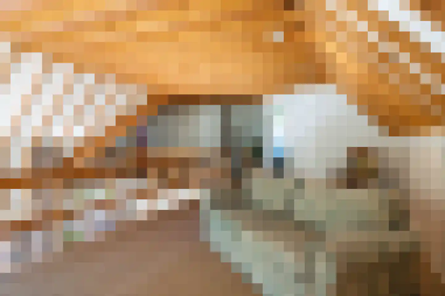 Beukenlaan 8 Oudemirdum thumbnail 61