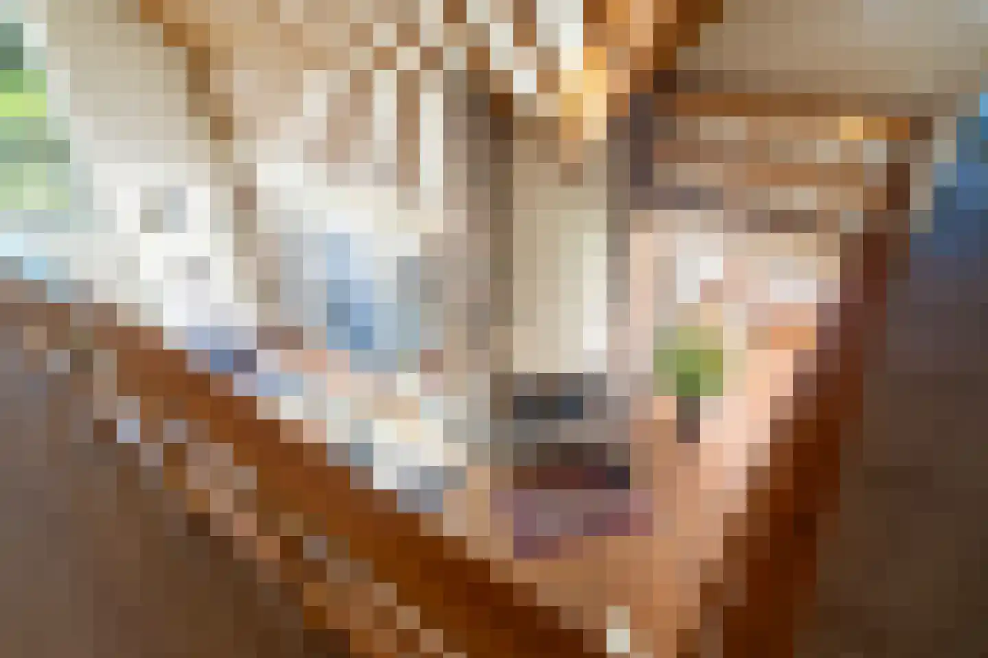 Beukenlaan 8 Oudemirdum thumbnail 63